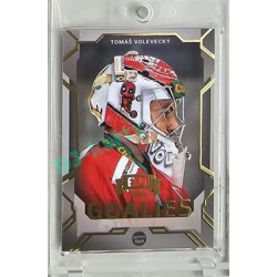 2023/24 Goal cards Chance Liga 2. série #G-21 Tomáš Volevecký Goalies Expo 1of6