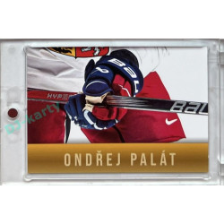 2024 LC Golden Prague Belongs to us #OP-08 Ondřej Palát JIGSAW Puzzle