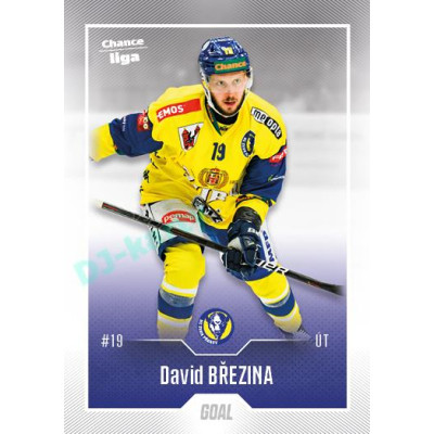 2022/23 Goal Cards Chance Liga 2. série #297 David Březina