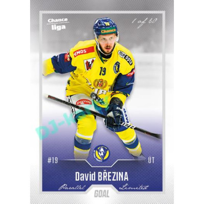 2022/23 Goal Cards Chance Liga 2. série #297 David Březina Silver 1 of 60