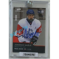 2021 MK Gamers 1 Pavel Novák #82 9/15
