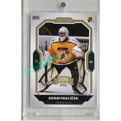 2023/24 Goal cards Chance Liga 2. série #216 Adam Pavlíček Expo Gold 1of7