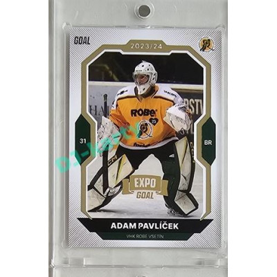 2023/24 Goal cards Chance Liga 2. série #216 Adam Pavlíček Expo Gold 1of7