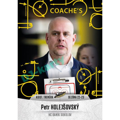 2022/23 Goal Cards Chance Liga 2. série #29 Petr Holejšovský Coach´s