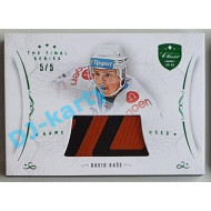 2021/22 OFS The Final Series David Kaše #STI-KAA 5/5 Game Used Stick Emerald