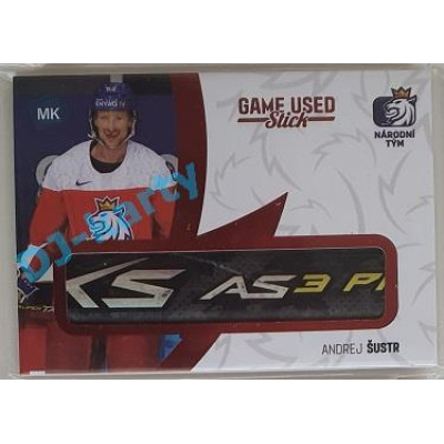 2021 MK reprezentace Andrej Šustr #17 Game used memorabilia PROMO