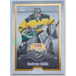 2022/23 Goal Cards Chance Liga 2. série #231 Vladislav Habal Expo Gold 1 of 3