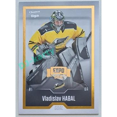 2022/23 Goal Cards Chance Liga 2. série #231 Vladislav Habal Expo Gold 1 of 3