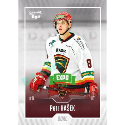2022/23 Goal Cards Chance Liga 2. série #252 Petr Hašek Expo Green x/4