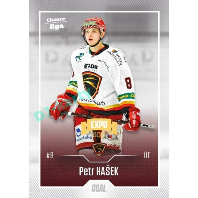 2022/23 Goal Cards Chance Liga 2. série #252 Petr Hašek Expo
