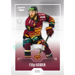 2022/23 Goal Cards Chance Liga 2. série #206 Filip Haman Expo Ostrava SILVER 1of2