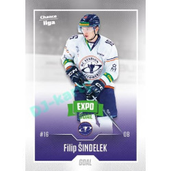 2022/23 Goal Cards Chance Liga 2. série #263 Filip Šindelek Expo Green x/4