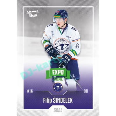 2022/23 Goal Cards Chance Liga 2. série #263 Filip Šindelek Expo Green x/4