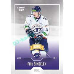 2022/23 Goal Cards Chance Liga 2. série #263 Filip Šindelek Expo