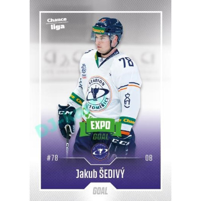 2022/23 Goal Cards Chance Liga 2. série #266 Jakub Šedivý Expo Green x/4