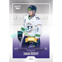 2022/23 Goal Cards Chance Liga 2. série #266 Jakub Šedivý Expo