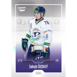 2022/23 Goal Cards Chance Liga 2. série #266 Jakub Šedivý Expo Ostrava SILVER 1of2