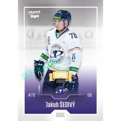 2022/23 Goal Cards Chance Liga 2. série #266 Jakub Šedivý Expo Ostrava GOLD 1of2