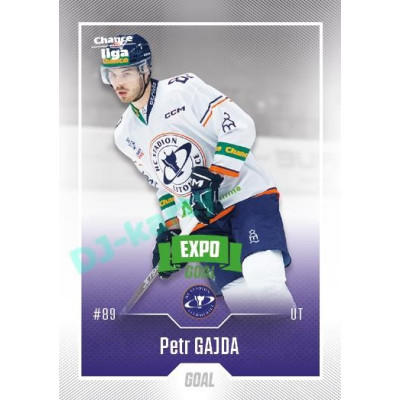 2022/23 Goal Cards Chance Liga 2. série #272 Petr Gajda Expo Green x/4