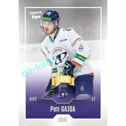 2022/23 Goal Cards Chance Liga 2. série #272 Petr Gajda Expo