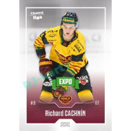 2022/23 Goal Cards Chance Liga 2. série #208 Richard Cachnín Expo Green x/4