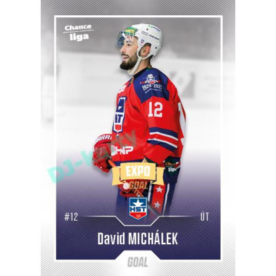 2022/23 Goal Cards Chance Liga 2. série #280 David Michálek Expo Ostrava GOLD 1of2