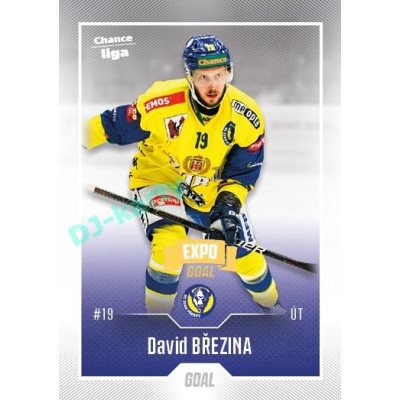 2022/23 Goal Cards Chance Liga 2. série #297 David Březina Expo