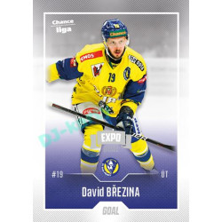 2022/23 Goal Cards Chance Liga 2. série #297 David Březina Expo Ostrava SILVER 1of2