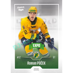 2022/23 Goal Cards Chance Liga 2. série #225 Roman Půček Expo Green x/4