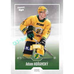 2022/23 Goal Cards Chance Liga 2. série #229 Adam Hořanský Expo