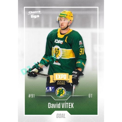 2022/23 Goal Cards Chance Liga 2. série #230 David Vítek Expo