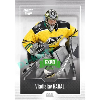 2022/23 Goal Cards Chance Liga 2. série #231 Vladislav Habal Expo Green x/4