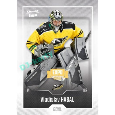 2022/23 Goal Cards Chance Liga 2. série #231 Vladislav Habal Expo