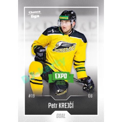 2022/23 Goal Cards Chance Liga 2. série #233 Petr Krejčí Expo Green x/4