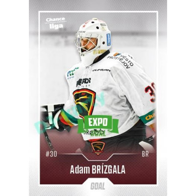 2022/23 Goal Cards Chance Liga 2. série #245 Adam Brízgala Expo Green x/4
