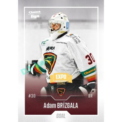 2022/23 Goal Cards Chance Liga 2. série #245 Adam Brízgala Expo