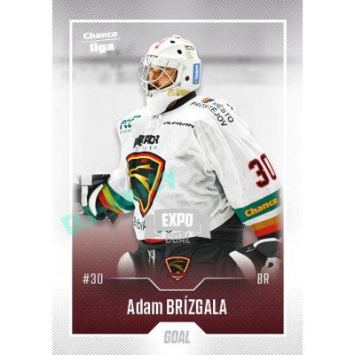 2022/23 Goal Cards Chance Liga 2. série #245 Adam Brízgala Expo Ostrava SILVER 1of2