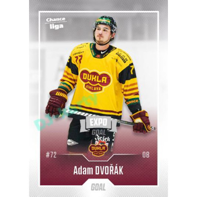 2022/23 Goal Cards Chance Liga 2. série #205 Adam Dvořák Expo Ostrava SILVER 1of2