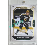 2023/24 Goal cards Chance Liga 2. série #226 Adam Hořanský Expo Gold 1of7