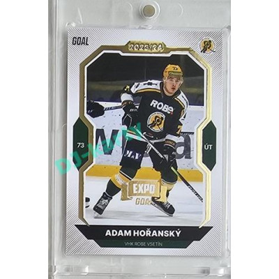 2023/24 Goal cards Chance Liga 2. série #226 Adam Hořanský Expo Gold 1of7