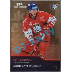 2020 MK reprezentace Andrej Šustr #36 1/5 Gold Czech Expo
