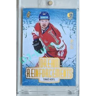 2023/24 LC Expectations Road to Prague #DR-12 Tomáš Hertl Dream Reinfrocements Gold xx/20