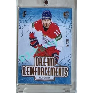 2023/24 LC Expectations Road to Prague #DR-13 Filip Zadina Dream Reinfrocements Gold xx/20