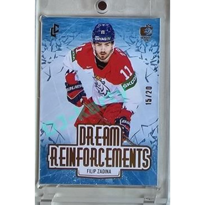 2023/24 LC Expectations Road to Prague #DR-13 Filip Zadina Dream Reinfrocements Gold xx/20