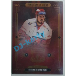 2021 OFS Kingdom of Lions Richard Nedomlel #B08 11/12 Rainbow