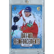 2023/24 LC Expectations Road to Prague #DR-15 David Kämpf Dream Reinfrocements Gold xx/20