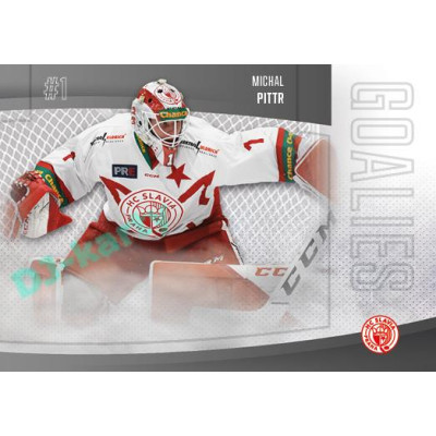 2022/23 Goal Cards Chance Liga 2. série #30 Michal Pittr Goalies