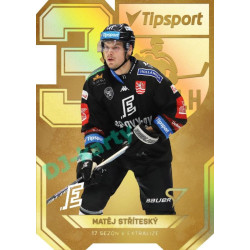 2022/23 Sportzoo ELH 2. série #AV-16 Matěj Stříteský 30 let ELH