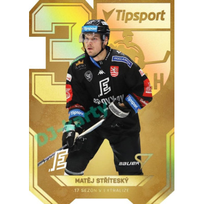 2022/23 Sportzoo ELH 2. série #AV-16 Matěj Stříteský 30 let ELH