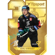 2022/23 Sportzoo ELH 2. série #AV-16 Matěj Stříteský 30 let ELH Limited xx/25
